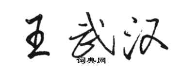 骆恒光王武汉行书个性签名怎么写