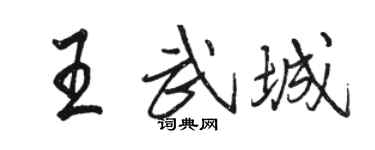 骆恒光王武城行书个性签名怎么写