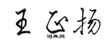 骆恒光王正扬行书个性签名怎么写