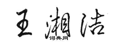 骆恒光王湘洁行书个性签名怎么写