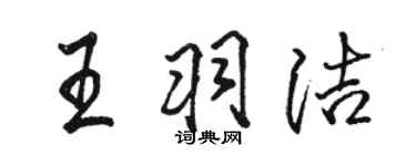 骆恒光王羽洁行书个性签名怎么写