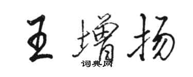 骆恒光王增扬行书个性签名怎么写