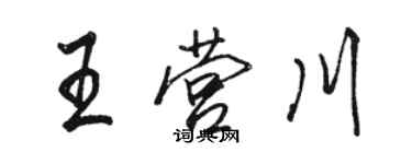 骆恒光王营川行书个性签名怎么写