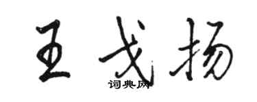骆恒光王戈扬行书个性签名怎么写
