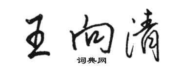 骆恒光王向清行书个性签名怎么写