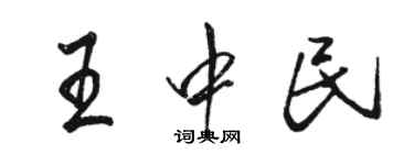 骆恒光王中民行书个性签名怎么写