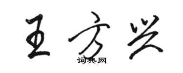 骆恒光王方兴行书个性签名怎么写
