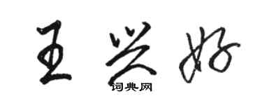 骆恒光王兴好行书个性签名怎么写