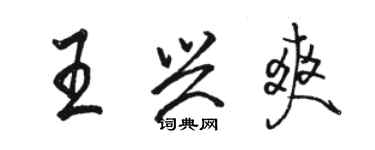骆恒光王兴爽行书个性签名怎么写