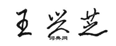 骆恒光王兴芝行书个性签名怎么写