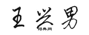 骆恒光王兴男行书个性签名怎么写