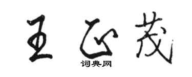 骆恒光王正茂行书个性签名怎么写