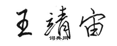 骆恒光王靖宙行书个性签名怎么写