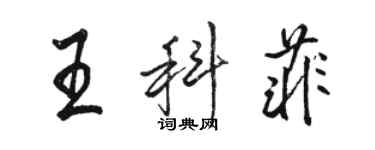 骆恒光王科菲行书个性签名怎么写