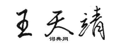 骆恒光王天靖行书个性签名怎么写