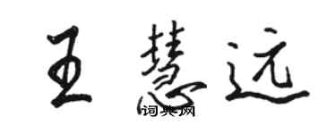 骆恒光王慧远行书个性签名怎么写