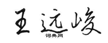 骆恒光王远峻行书个性签名怎么写