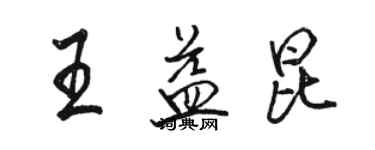 骆恒光王益昆行书个性签名怎么写