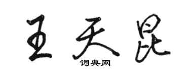 骆恒光王天昆行书个性签名怎么写