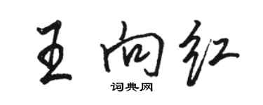 骆恒光王向红行书个性签名怎么写
