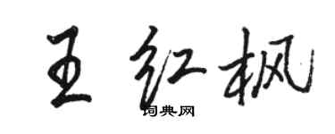 骆恒光王红枫行书个性签名怎么写