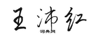 骆恒光王沛红行书个性签名怎么写