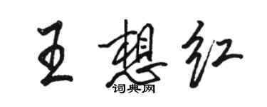 骆恒光王想红行书个性签名怎么写
