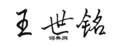 骆恒光王世铭行书个性签名怎么写