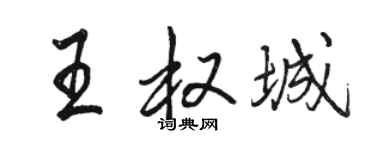 骆恒光王权城行书个性签名怎么写
