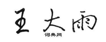 骆恒光王大雨行书个性签名怎么写