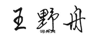 骆恒光王野舟行书个性签名怎么写