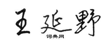 骆恒光王延野行书个性签名怎么写
