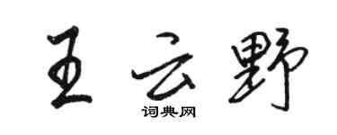 骆恒光王云野行书个性签名怎么写
