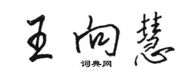 骆恒光王向慧行书个性签名怎么写