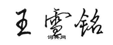 骆恒光王雪铭行书个性签名怎么写