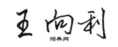 骆恒光王向利行书个性签名怎么写