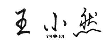 骆恒光王小然行书个性签名怎么写