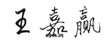 骆恒光王嘉赢行书个性签名怎么写
