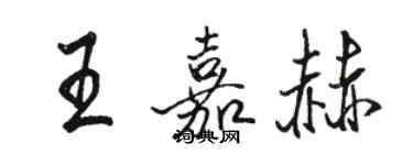 骆恒光王嘉赫行书个性签名怎么写