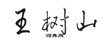骆恒光王树山行书个性签名怎么写