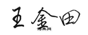 骆恒光王金田行书个性签名怎么写