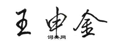 骆恒光王申金行书个性签名怎么写