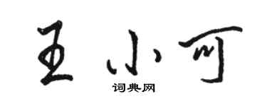 骆恒光王小可行书个性签名怎么写