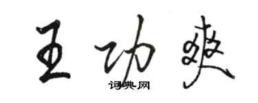 骆恒光王功爽行书个性签名怎么写
