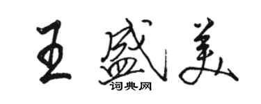 骆恒光王盛美行书个性签名怎么写