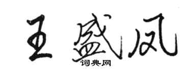 骆恒光王盛凤行书个性签名怎么写