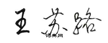 骆恒光王苏路行书个性签名怎么写