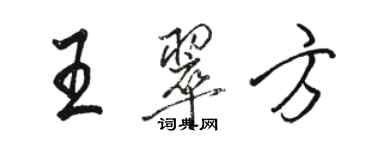 骆恒光王翠方行书个性签名怎么写