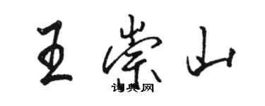 骆恒光王崇山行书个性签名怎么写