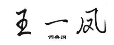 骆恒光王一凤行书个性签名怎么写